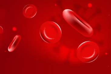 Fight anemia and its root causes
