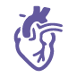 Cardiology