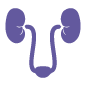 Urology, Uro-Oncology, Andrology, Uro Robotics