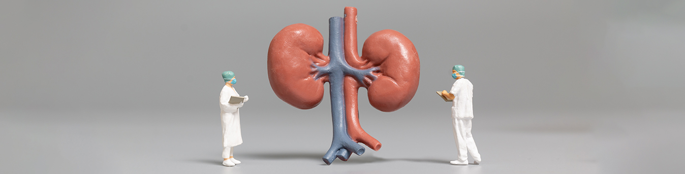 Kidney diseases myths that need to be busted