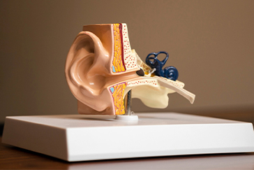 Cochlear Implant: A revolutionary bionic ear