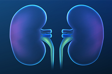 Chronic kidney disease: Getting familiar with the most common types