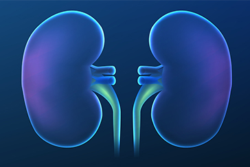 Chronic kidney disease: Getting familiar with the most common types