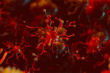 Getting familiar with the most common types of blood cancer