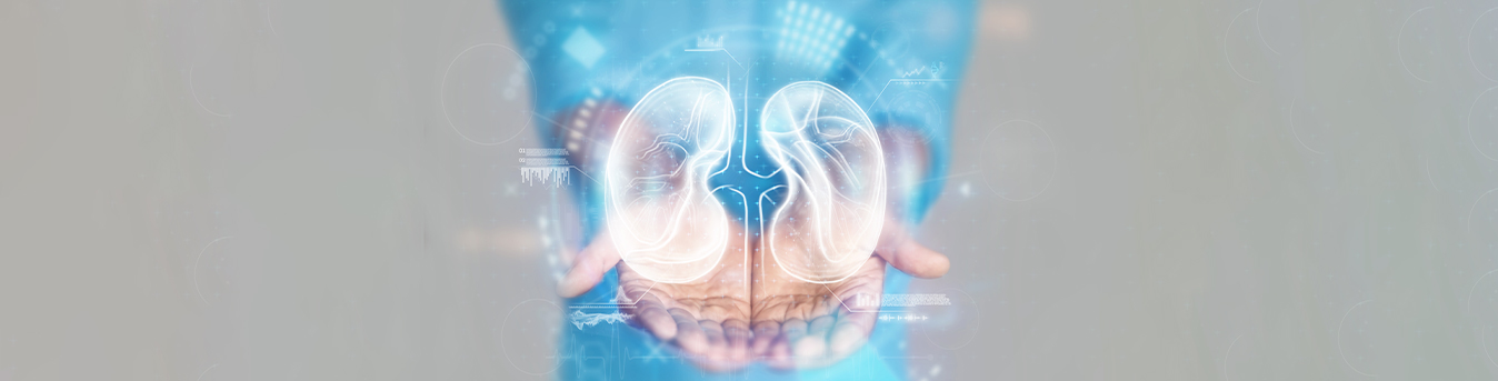 Busting the most common myths related to kidney transplant