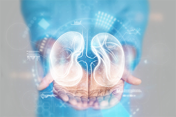 Busting the most common myths related to kidney transplant